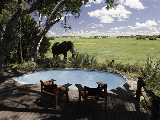 Mombo Camp (Okavango)