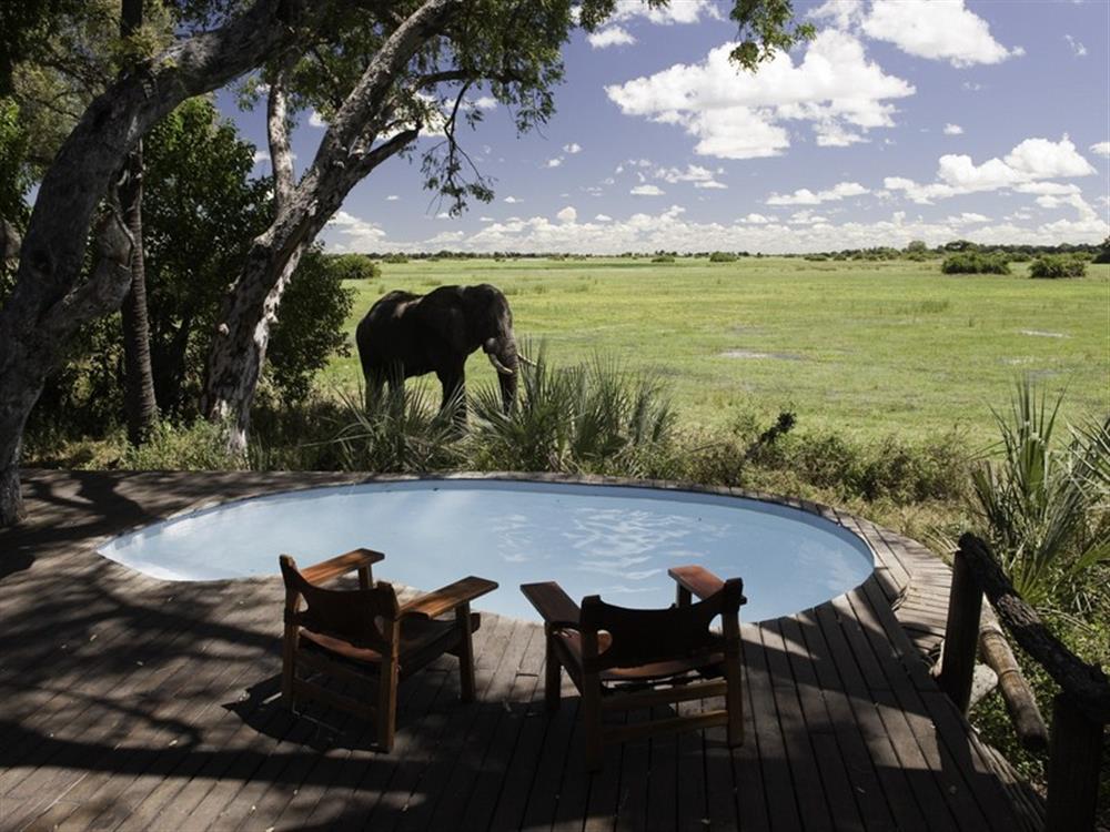 Mombo Camp (Okavango)