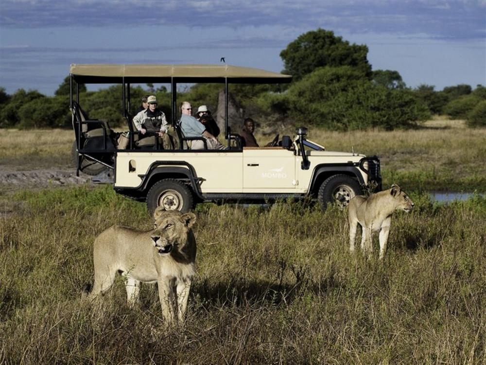 Mombo Camp (Okavango)