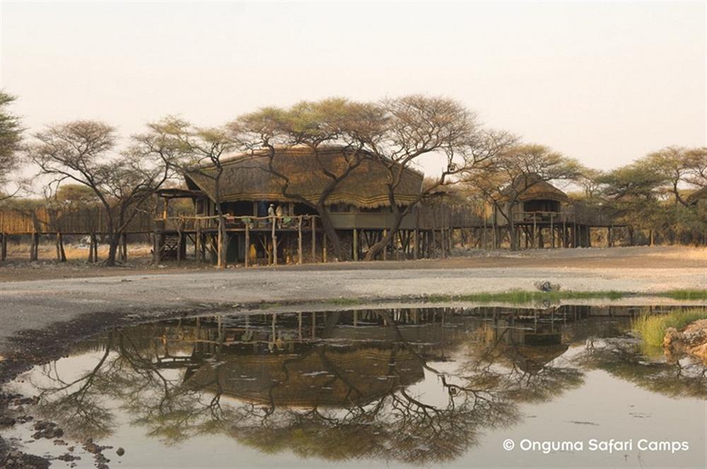 Onguma Treetop Camp