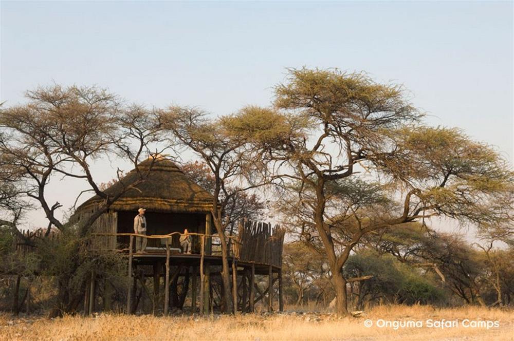 Onguma Treetop Camp