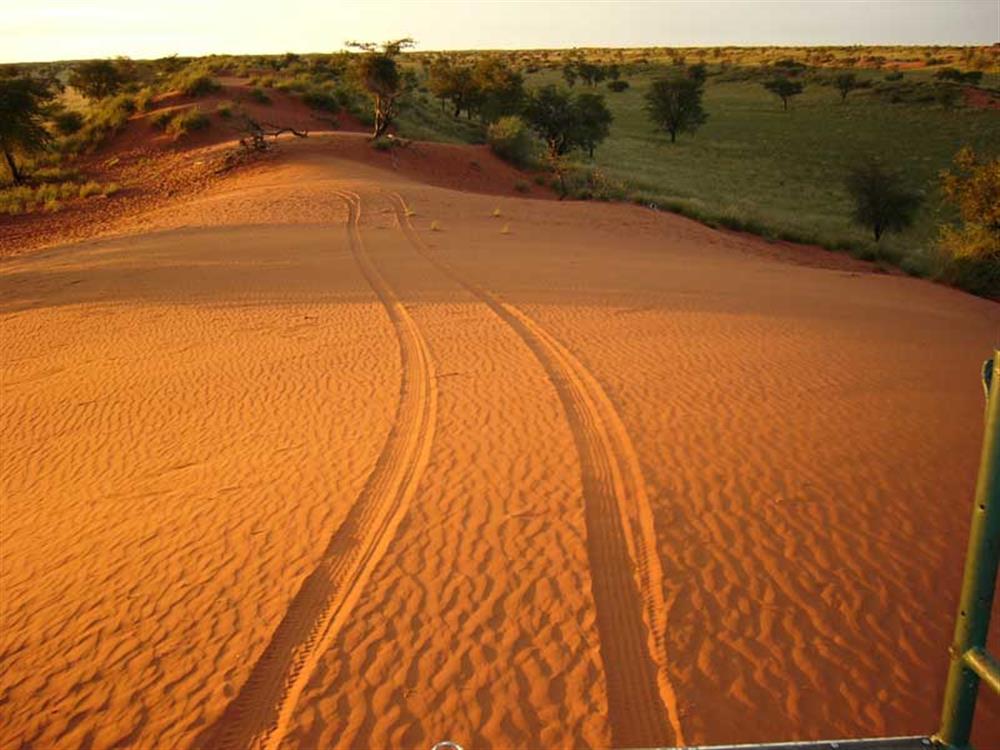 Bagatelle Kalahari Game Ranch