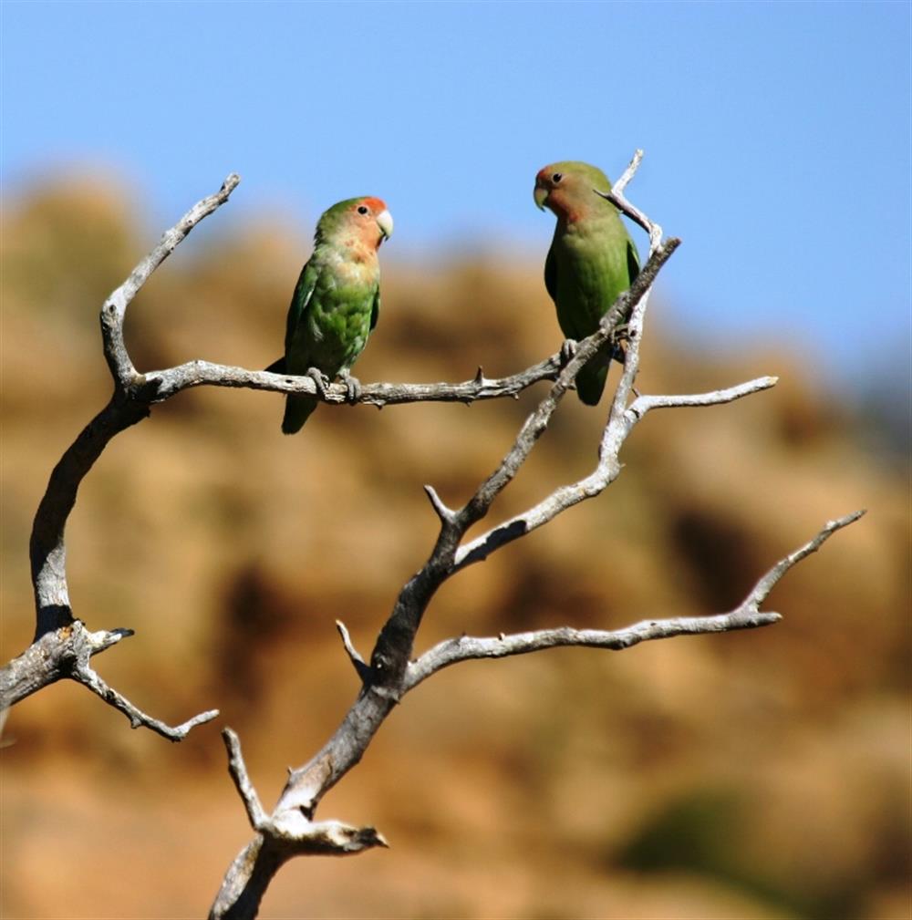 Erongo Wilderness Lodge