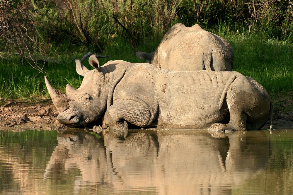 Waterberg Wilderness Lodge