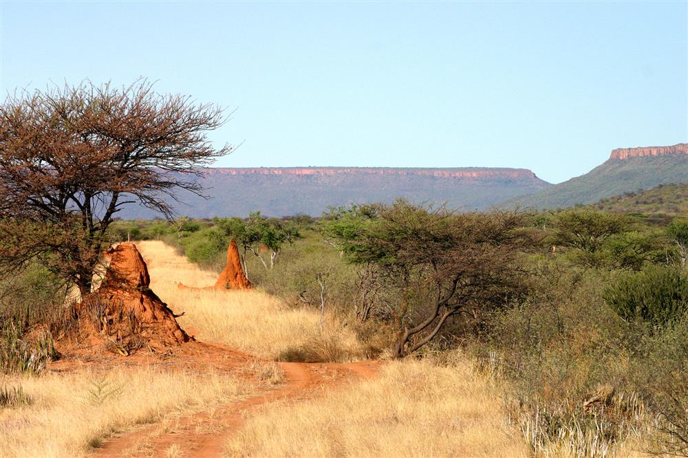 Waterberg Wilderness Lodge