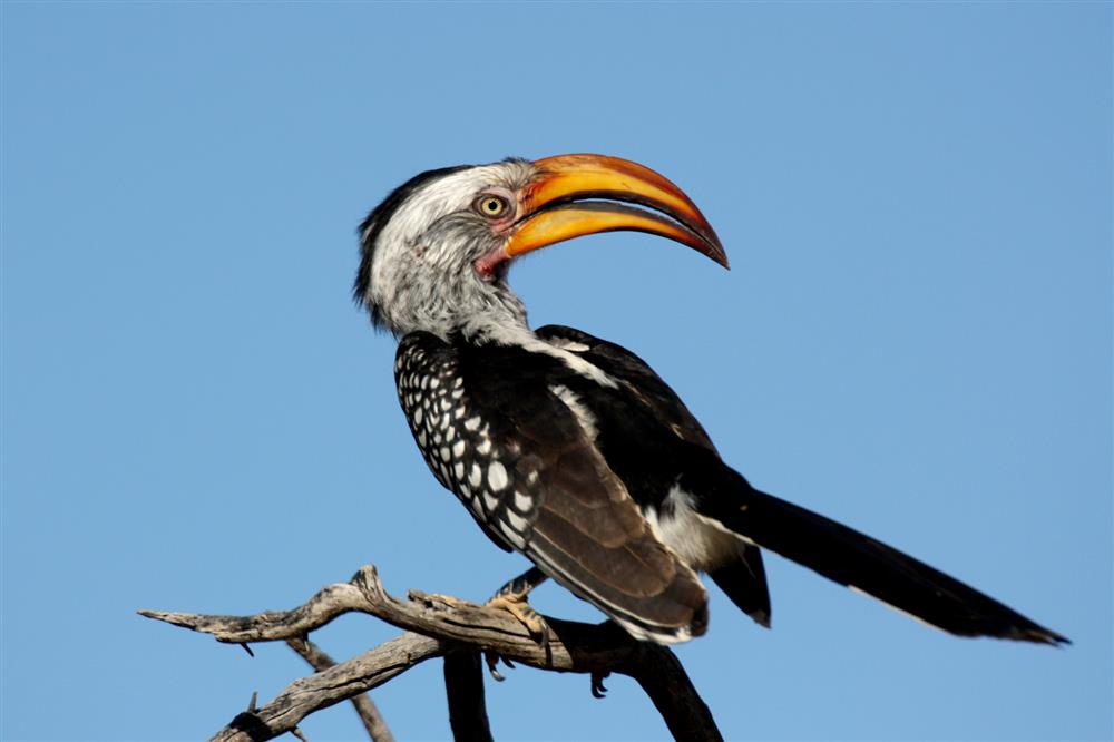 Waterberg Wilderness Lodge