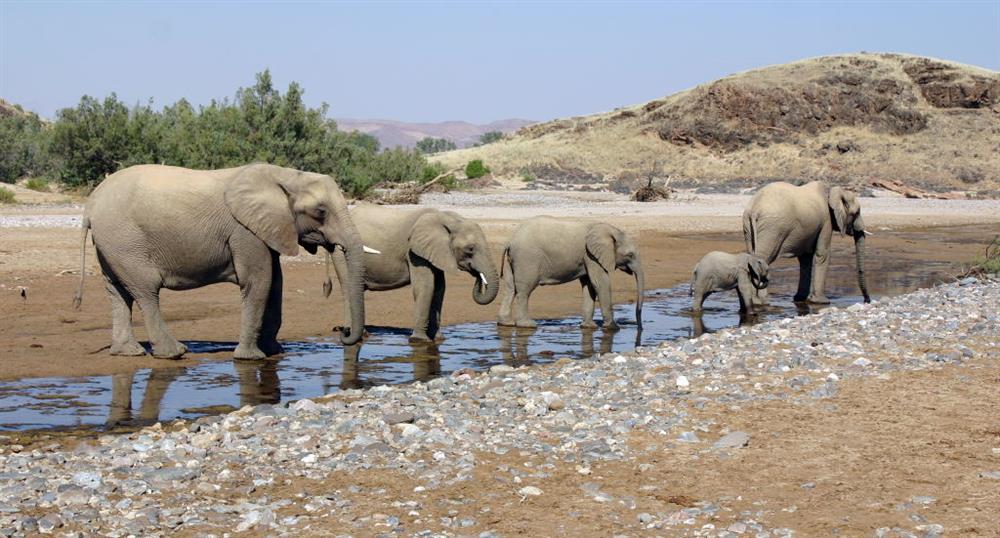 Skeleton Coast Safaris