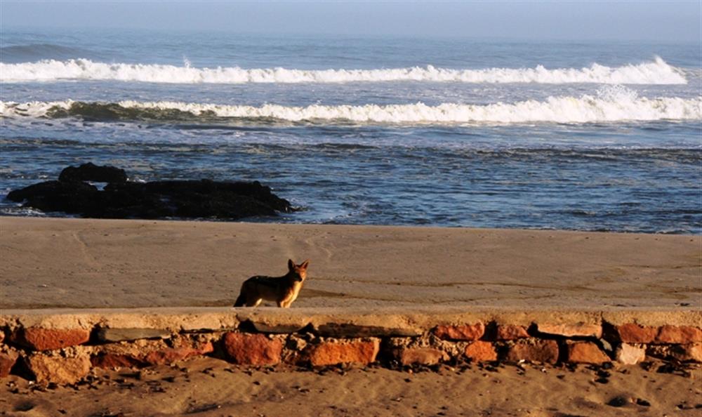 Cape Cross Lodge