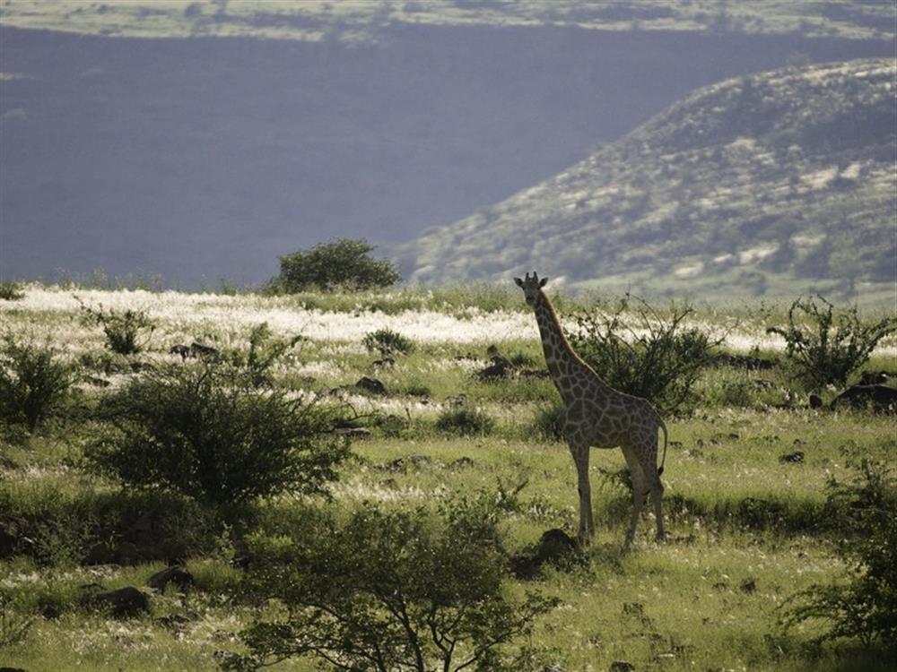 Damaraland Camp