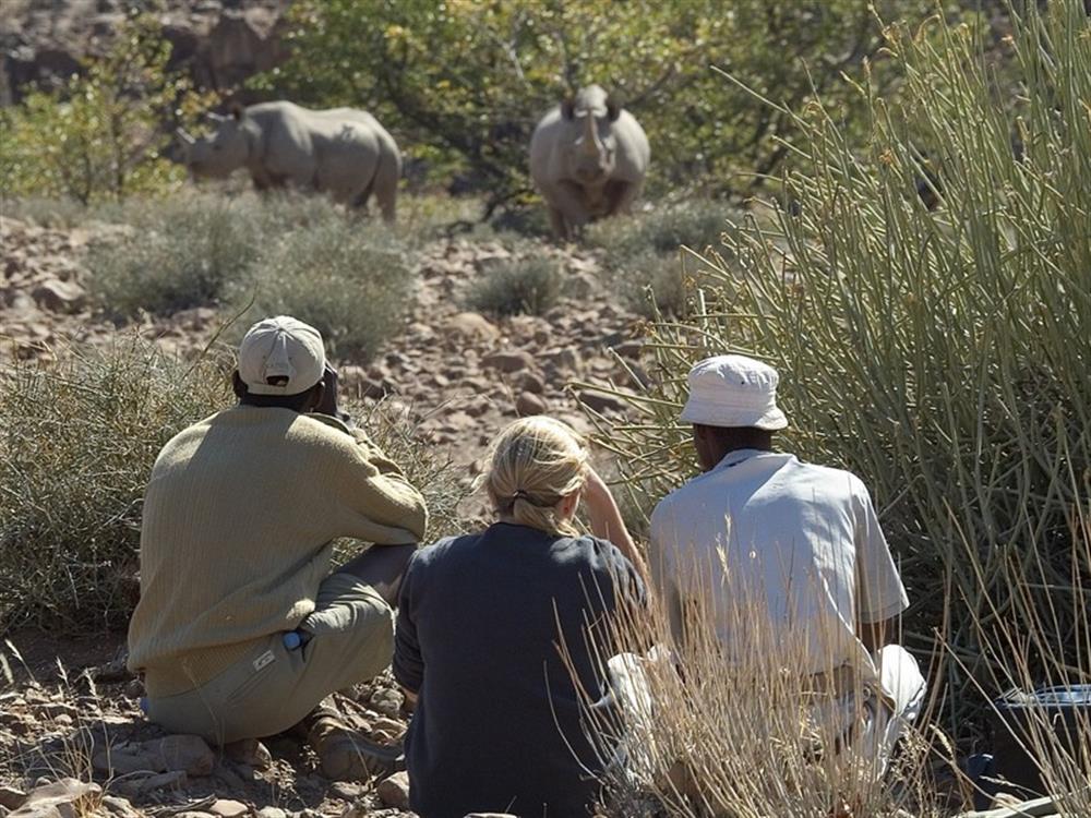 Desert Rhino Camp