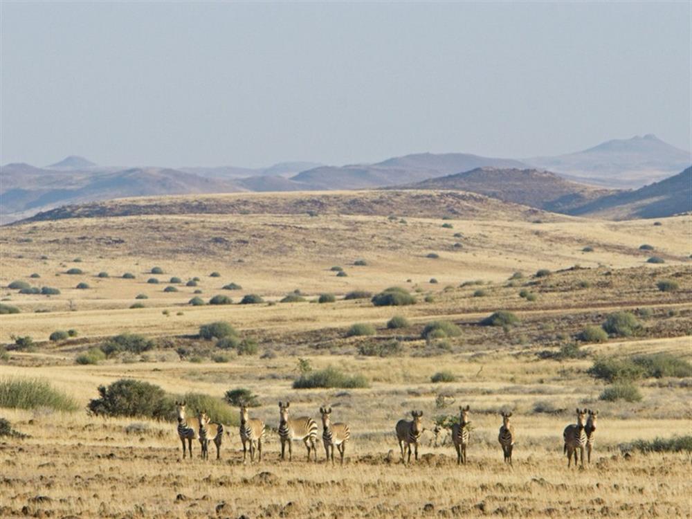 Desert Rhino Camp