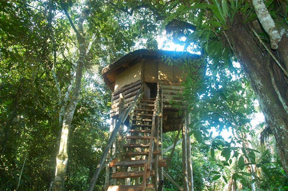 Kibale Primate Lodge