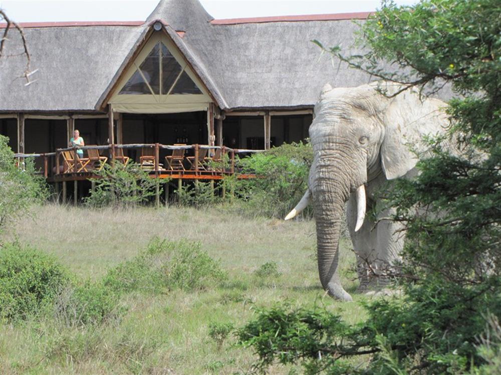 Bush Lodge