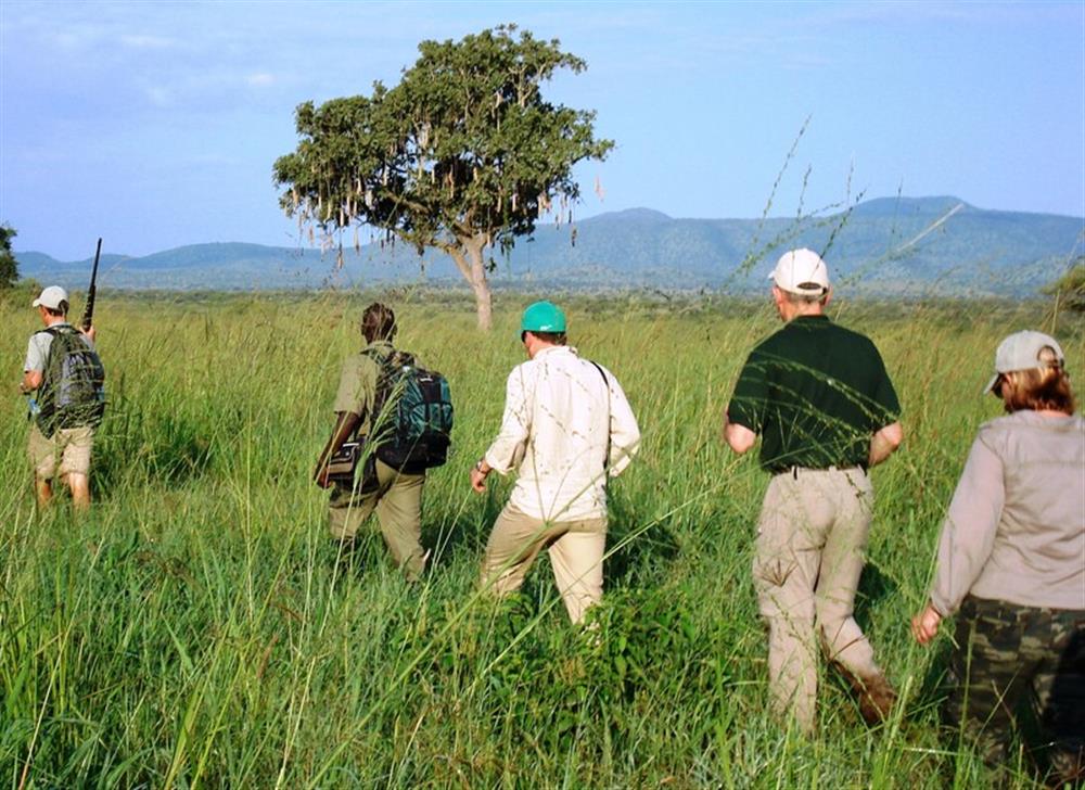 Apoka Safari Lodge