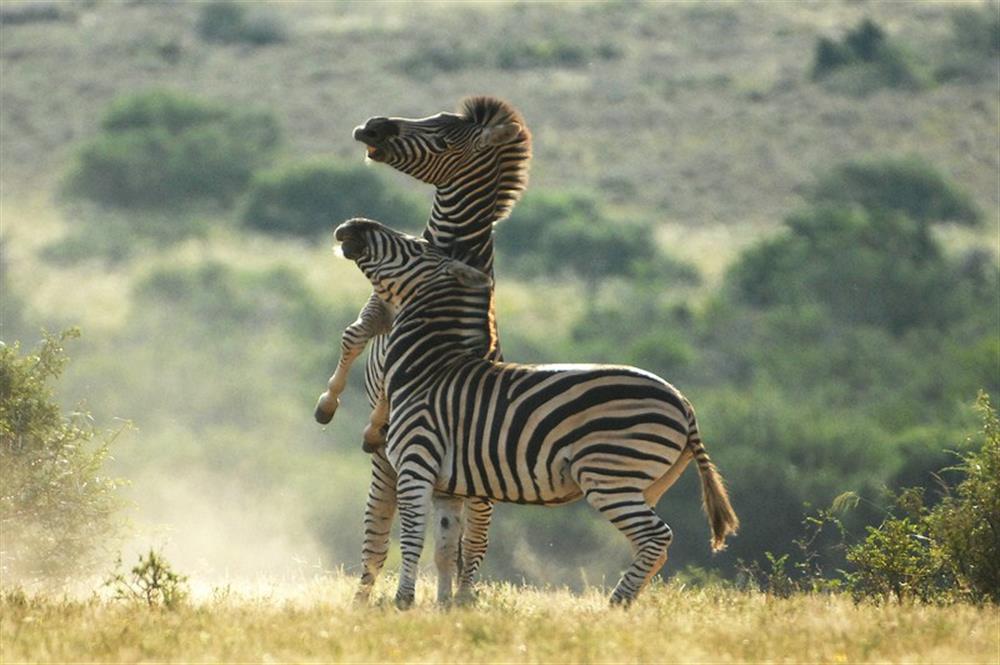 Great Fish River Lodge