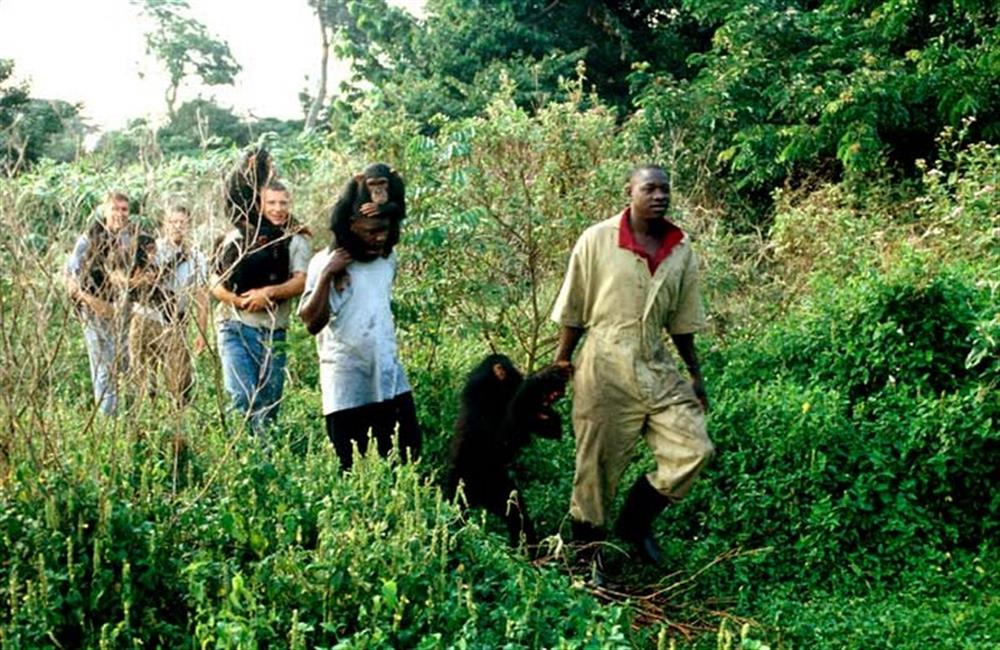 Ngamba Island