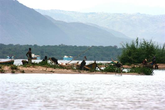 Lake Albert Safari Lodge