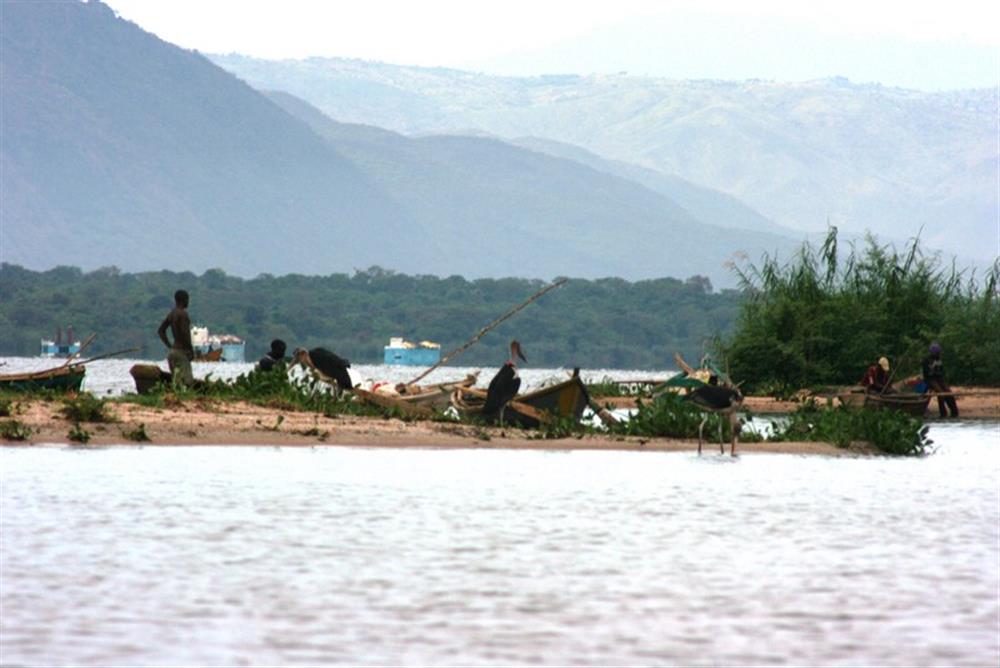 Lake Albert Safari Lodge