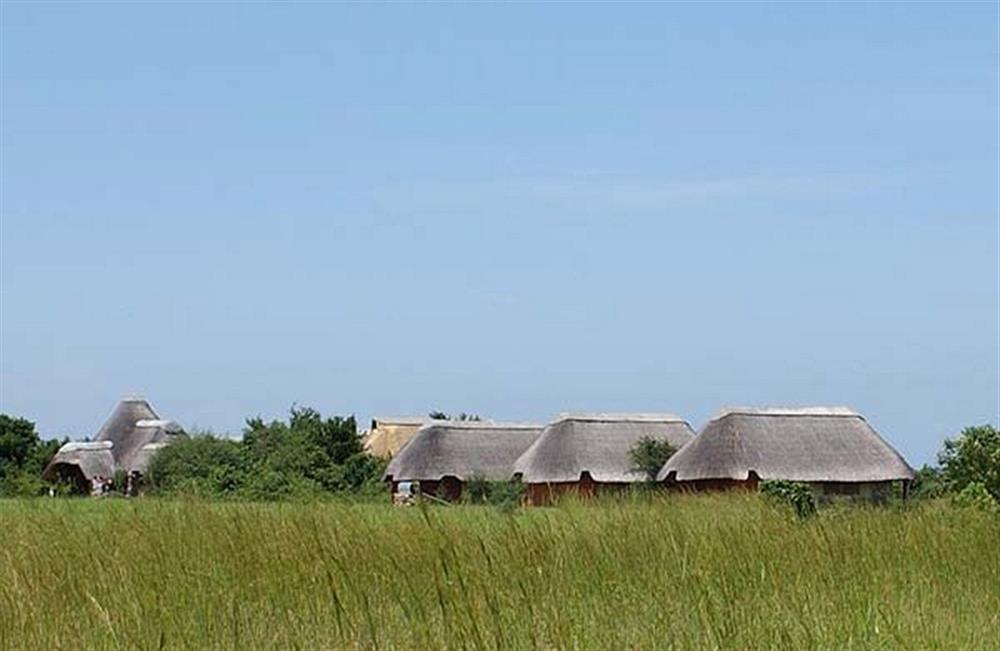 Lake Albert Safari Lodge