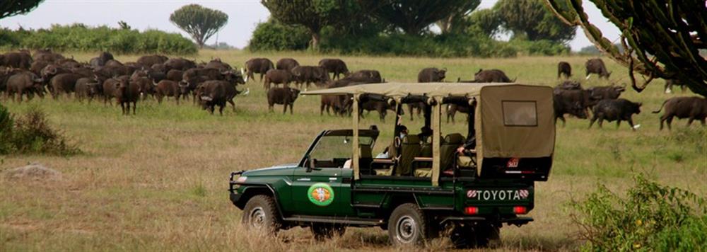 Mweya Safari Lodge