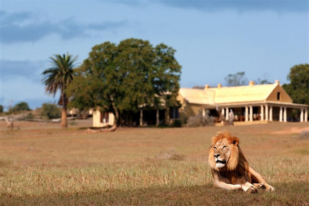 Gorah Elephant Camp