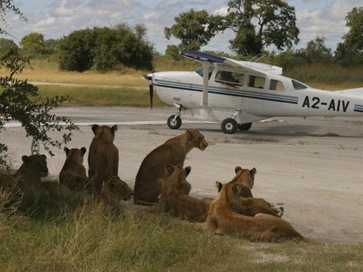 Vumbura Plains Camp