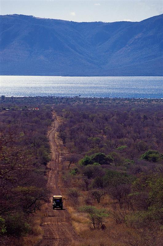 White Elephant Bush Camp