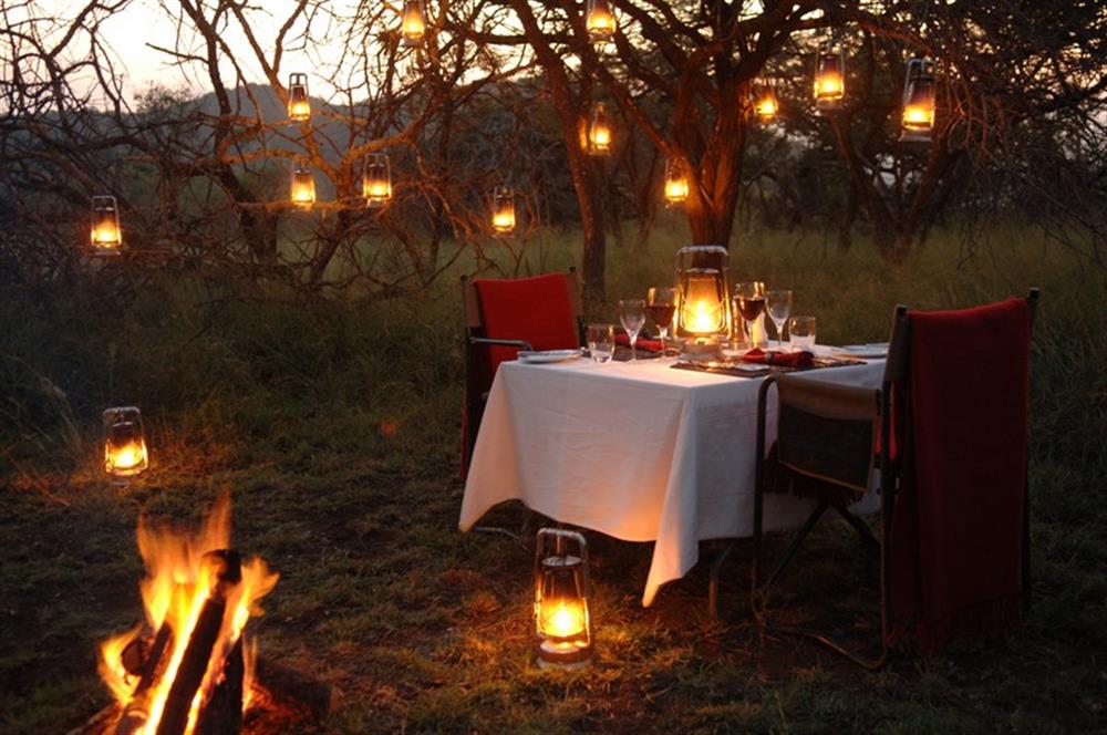 Thanda Tented Camp