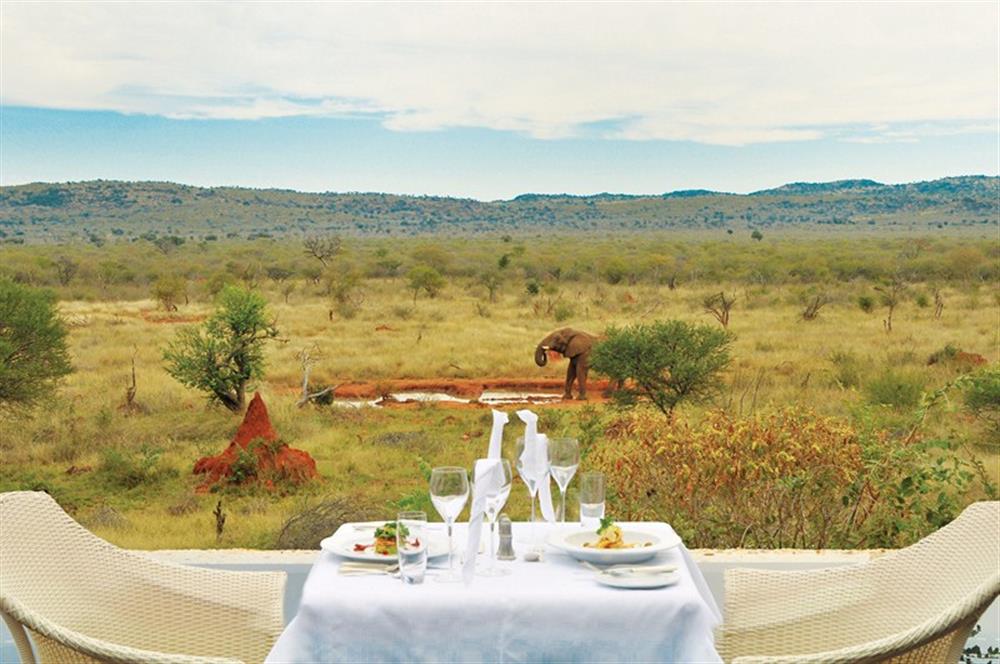 Madikwe Hills Private Game Lodge