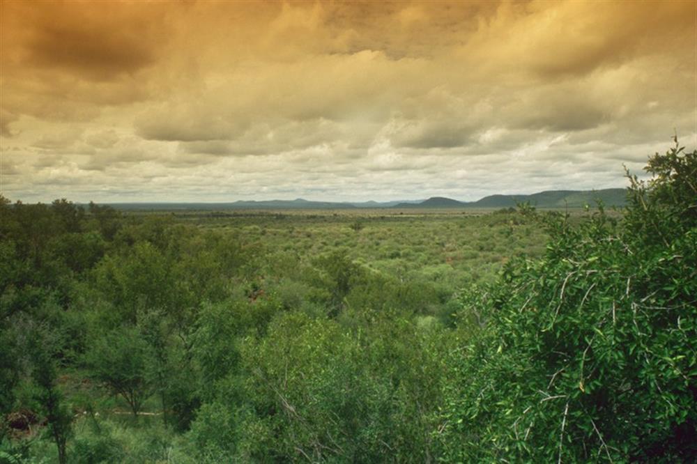 Madikwe Hills Private Game Lodge