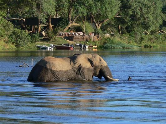 Chongwe River Camp