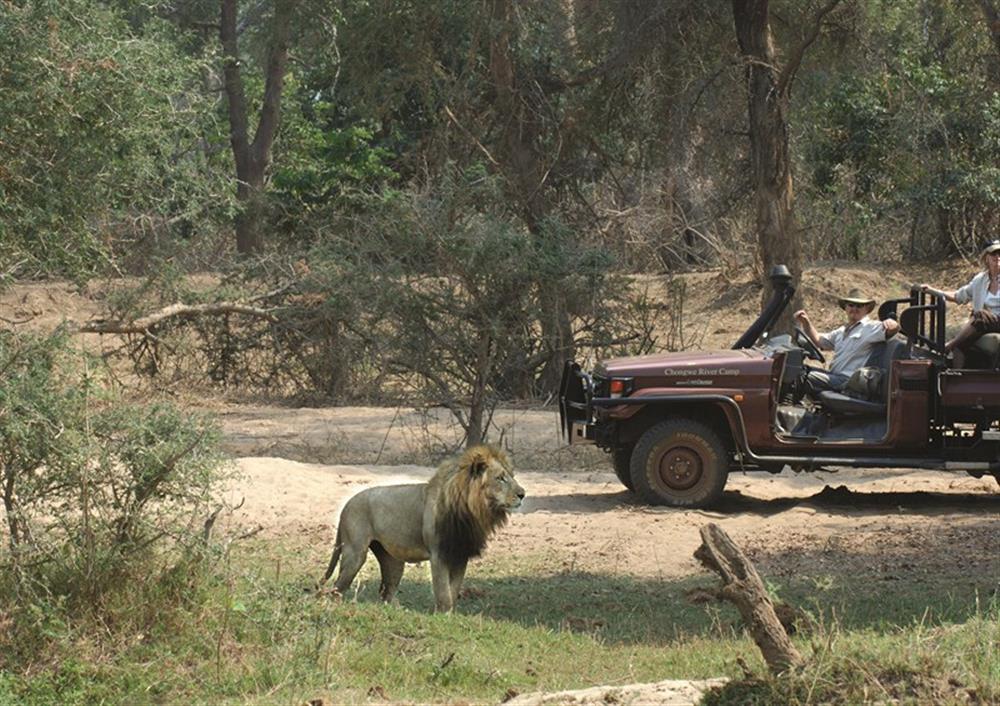 Chongwe River Camp