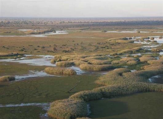 Shoebill Island Camp