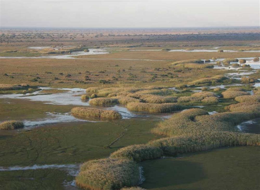 Shoebill Island Camp