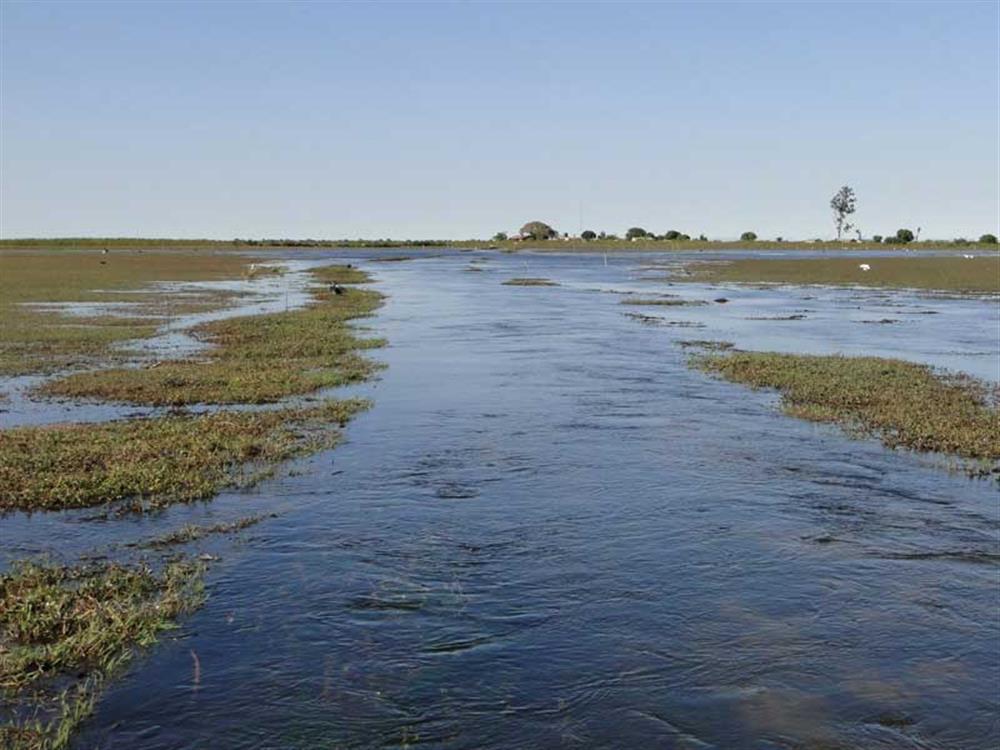 Shoebill Island Camp