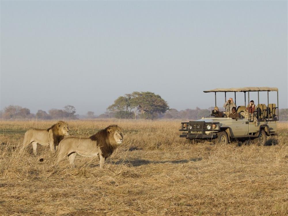 Busanga Bush Camp