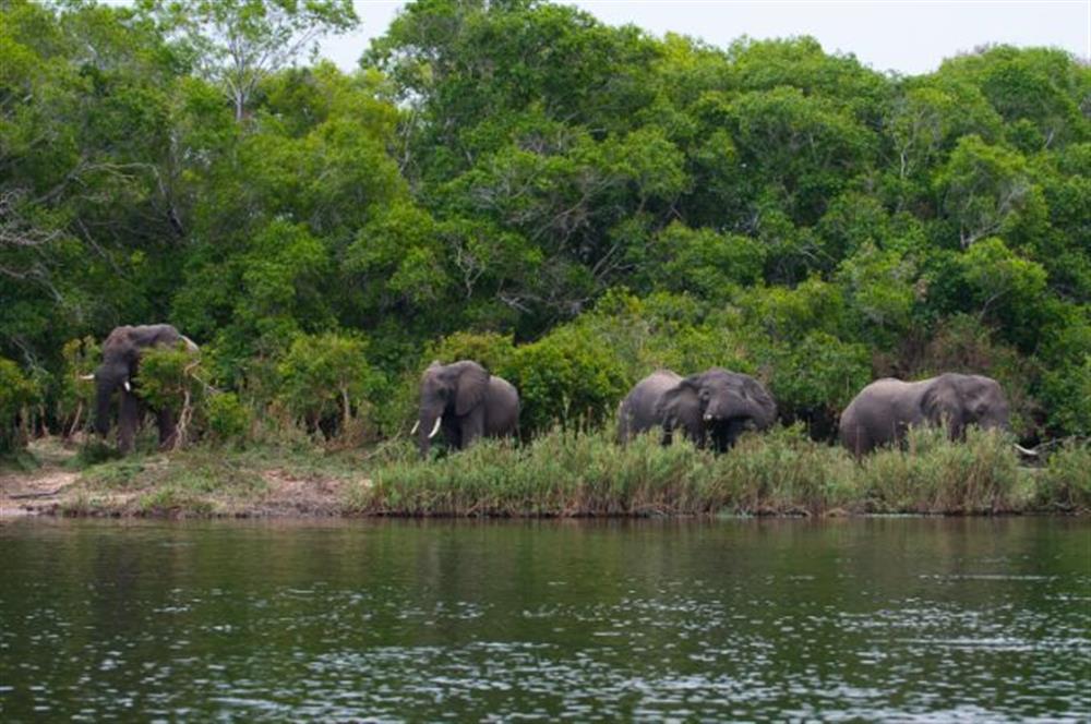 Hippo Lodge