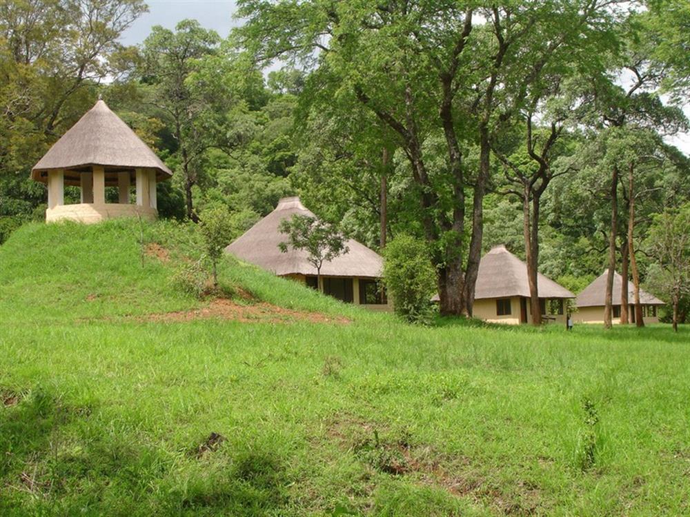 Leopard Lodge