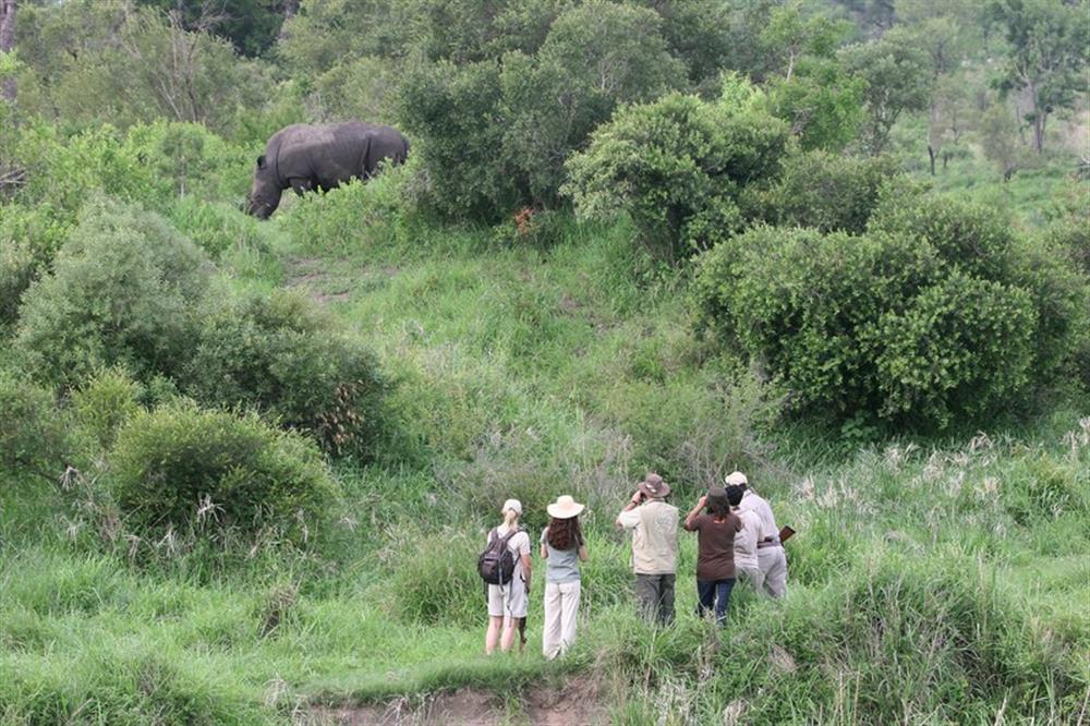 Jock Safari Lodge