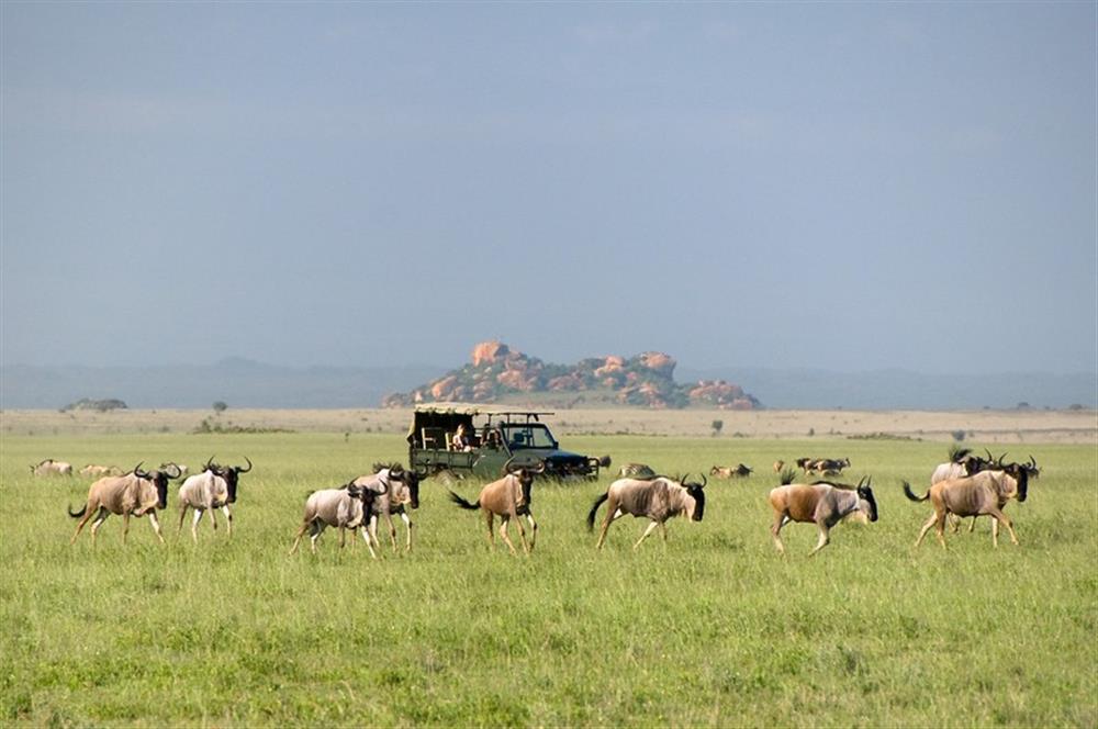 ol Donyo Lodge