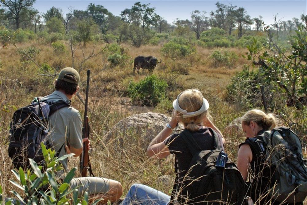 Lukimbi Safari Lodge