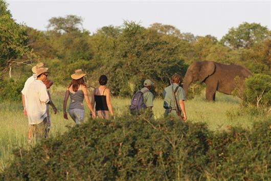 Rhino Post Safari Lodge