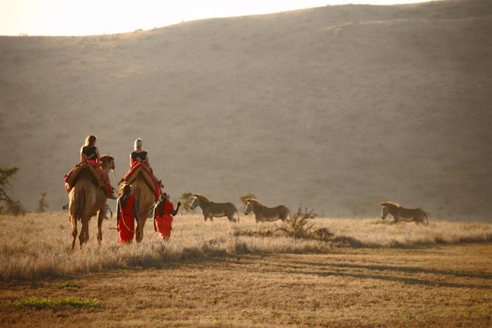 Lewa Safari Camp