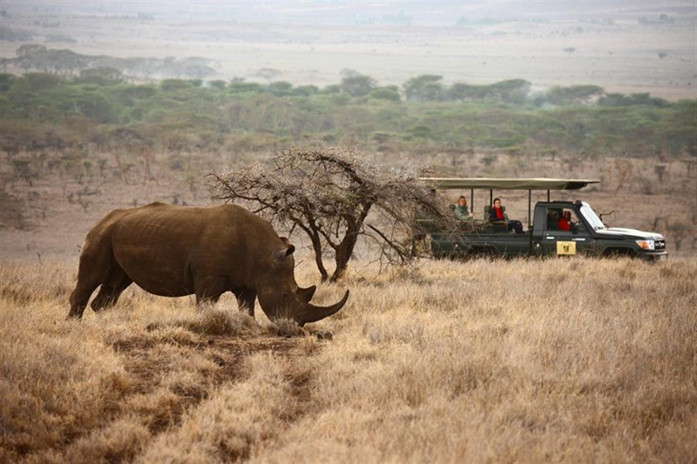 Lewa Safari Camp