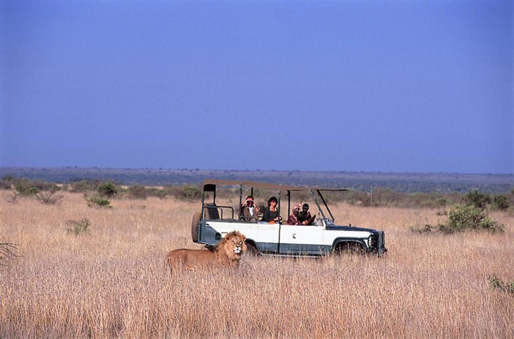 Loisaba Wilderness