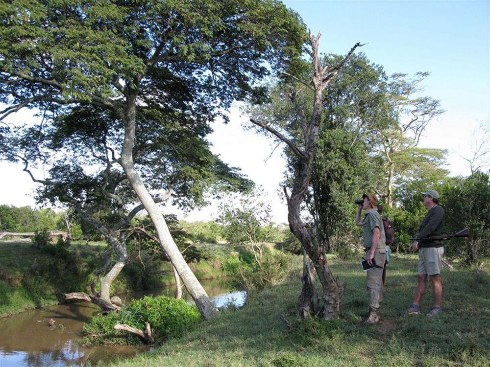 Ol Pejeta Bush Camp