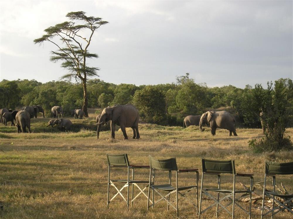 Ol Pejeta Bush Camp