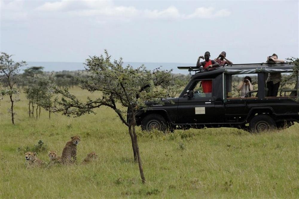 Kicheche Bush Camp