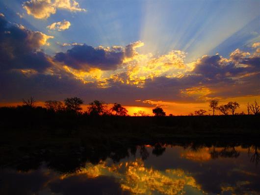 Londolozi Pioneer Camp