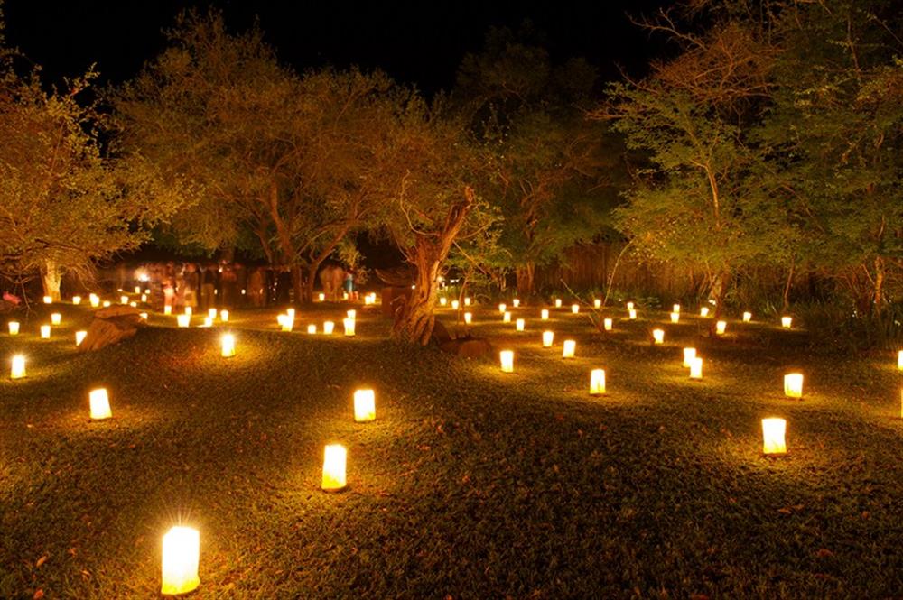 Londolozi Tree Camp